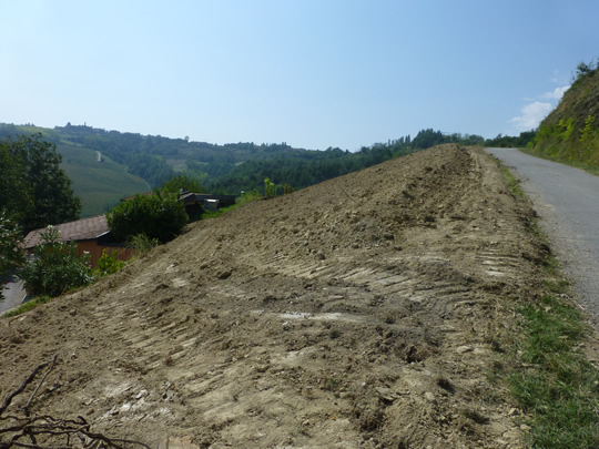 Vorbereitung für neuen Rebberg